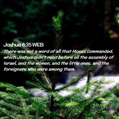 Picture 02 - Joshua 8:35 WEB - There was not a word of all that Moses commanded, - Bible Verse Picture