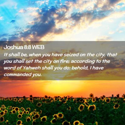 Picture 02 - Joshua 8:8 WEB - It shall be, when you have seized on the city, - Bible Verse Picture