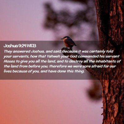Picture 02 - Joshua 9:24 WEB - They answered Joshua, and said, Because it was - Bible Verse Picture