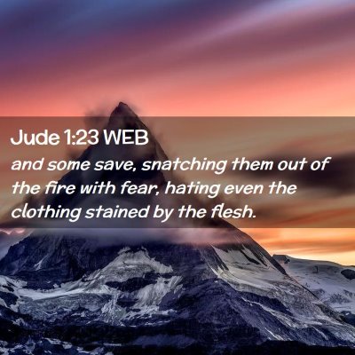 Picture 02 - Jude 1:23 WEB - and some save, snatching them out of the fire - Bible Verse Picture