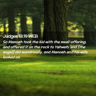 Picture 02 - Judges 13:19 WEB - So Manoah took the kid with the meal-offering, - Bible Verse Picture