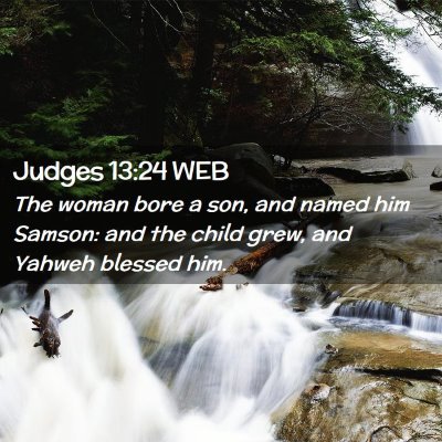Picture 02 - Judges 13:24 WEB - The woman bore a son, and named him Samson: and - Bible Verse Picture