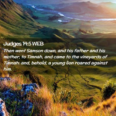 Picture 02 - Judges 14:5 WEB - Then went Samson down, and his father and his - Bible Verse Picture
