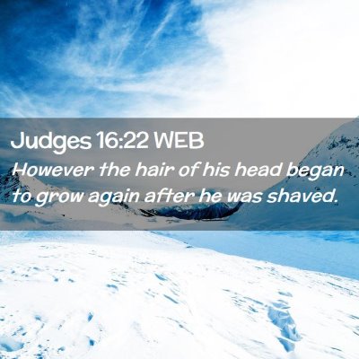 Picture 02 - Judges 16:22 WEB - However the hair of his head began to grow again - Bible Verse Picture
