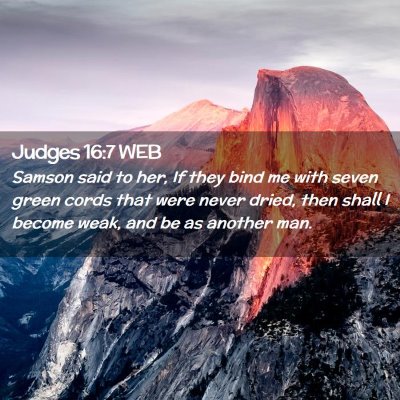 Picture 02 - Judges 16:7 WEB - Samson said to her, If they bind me with seven - Bible Verse Picture