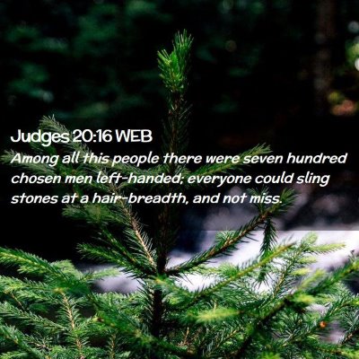 Picture 02 - Judges 20:16 WEB - Among all this people there were seven hundred - Bible Verse Picture