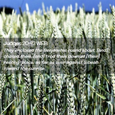 Picture 02 - Judges 20:43 WEB - They enclosed the Benjamites round about, [and] - Bible Verse Picture