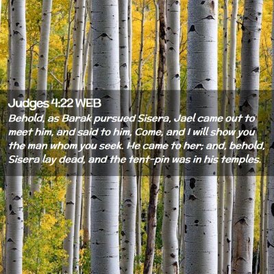 Picture 02 - Judges 4:22 WEB - Behold, as Barak pursued Sisera, Jael came out to - Bible Verse Picture