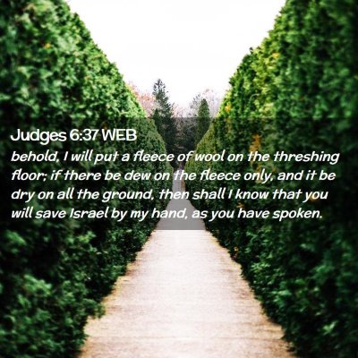 Picture 02 - Judges 6:37 WEB - behold, I will put a fleece of wool on the - Bible Verse Picture