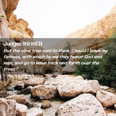 Picture 02 - Judges 9:9 WEB - But the olive tree said to them, Should I leave - Bible Verse Picture