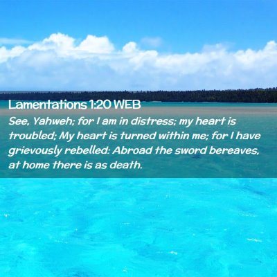Picture 02 - Lamentations 1:20 WEB - See, Yahweh; for I am in distress; my heart is - Bible Verse Picture