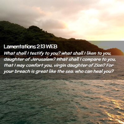 Picture 02 - Lamentations 2:13 WEB - What shall I testify to you? what shall I liken - Bible Verse Picture