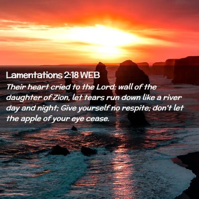 Picture 02 - Lamentations 2:18 WEB - Their heart cried to the Lord: wall of the - Bible Verse Picture