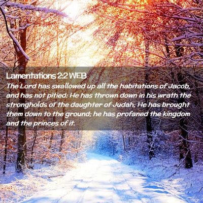 Picture 02 - Lamentations 2:2 WEB - The Lord has swallowed up all the habitations of - Bible Verse Picture
