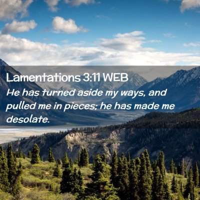 Picture 02 - Lamentations 3:11 WEB - He has turned aside my ways, and pulled me in - Bible Verse Picture