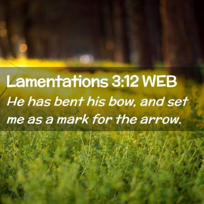 Picture 02 - Lamentations 3:12 WEB - He has bent his bow, and set me as a mark for the - Bible Verse Picture