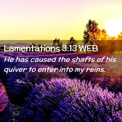 Picture 02 - Lamentations 3:13 WEB - He has caused the shafts of his quiver to enter - Bible Verse Picture