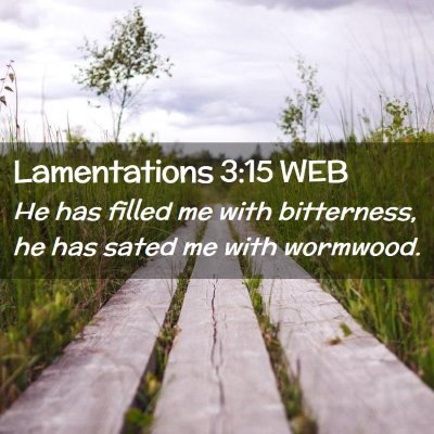 Picture 02 - Lamentations 3:15 WEB - He has filled me with bitterness, he has sated me - Bible Verse Picture