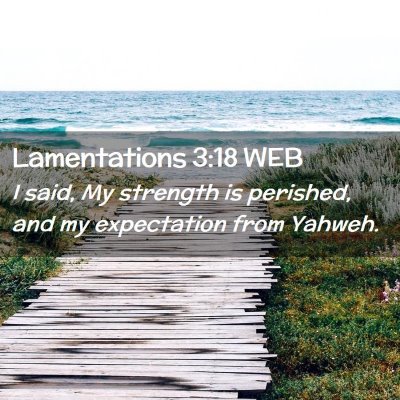 Picture 02 - Lamentations 3:18 WEB - I said, My strength is perished, and my - Bible Verse Picture