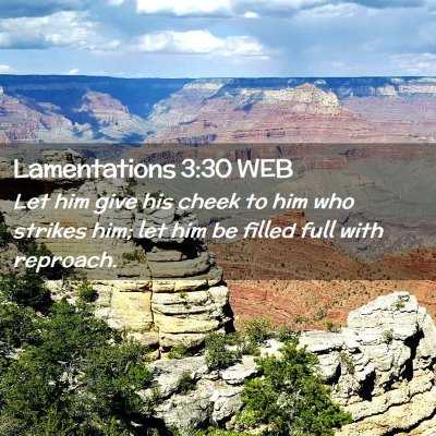 Picture 02 - Lamentations 3:30 WEB - Let him give his cheek to him who strikes him; - Bible Verse Picture