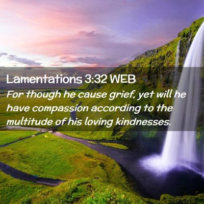Picture 02 - Lamentations 3:32 WEB - For though he cause grief, yet will he have - Bible Verse Picture