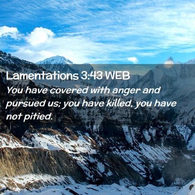 Picture 02 - Lamentations 3:43 WEB - You have covered with anger and pursued us; you - Bible Verse Picture