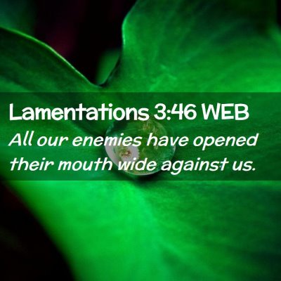 Picture 02 - Lamentations 3:46 WEB - All our enemies have opened their mouth wide - Bible Verse Picture