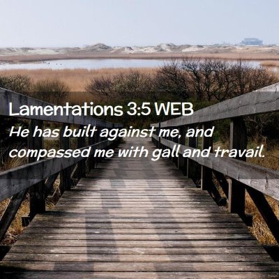 Picture 02 - Lamentations 3:5 WEB - He has built against me, and compassed me with - Bible Verse Picture