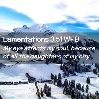 Picture 02 - Lamentations 3:51 WEB - My eye affects my soul, because of all the - Bible Verse Picture