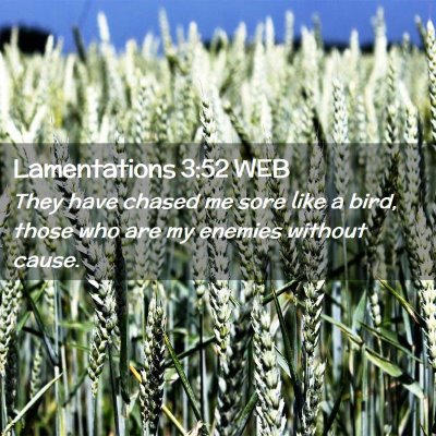 Picture 02 - Lamentations 3:52 WEB - They have chased me sore like a bird, those who - Bible Verse Picture