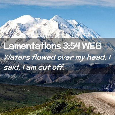 Picture 02 - Lamentations 3:54 WEB - Waters flowed over my head; I said, I am cut - Bible Verse Picture