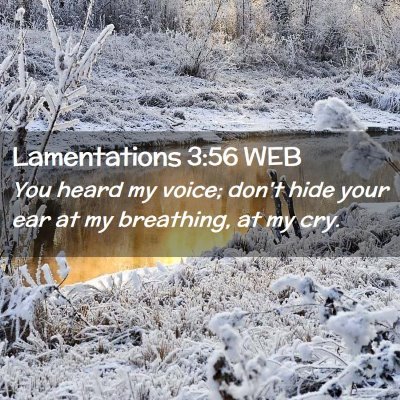 Picture 02 - Lamentations 3:56 WEB - You heard my voice; don't hide your ear at my - Bible Verse Picture
