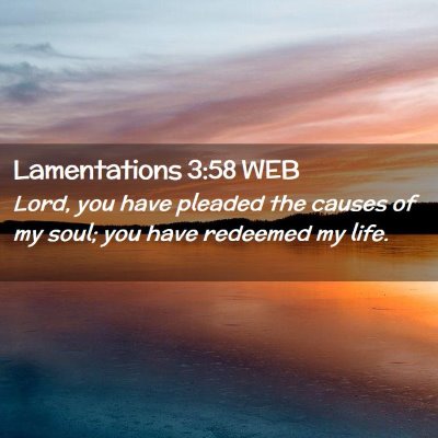Picture 02 - Lamentations 3:58 WEB - Lord, you have pleaded the causes of my soul; you - Bible Verse Picture
