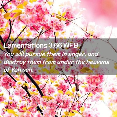 Picture 02 - Lamentations 3:66 WEB - You will pursue them in anger, and destroy them - Bible Verse Picture