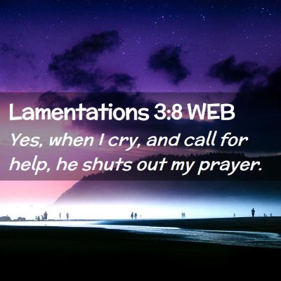 Picture 02 - Lamentations 3:8 WEB - Yes, when I cry, and call for help, he shuts out - Bible Verse Picture