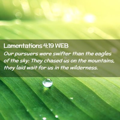 Picture 02 - Lamentations 4:19 WEB - Our pursuers were swifter than the eagles of the - Bible Verse Picture