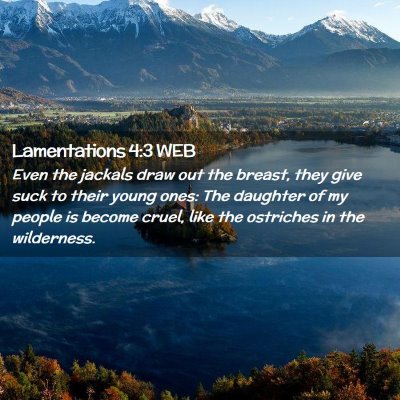 Picture 02 - Lamentations 4:3 WEB - Even the jackals draw out the breast, they give - Bible Verse Picture