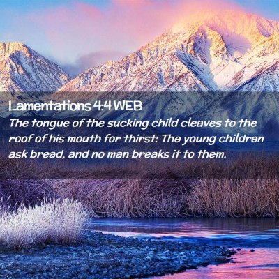 Picture 02 - Lamentations 4:4 WEB - The tongue of the sucking child cleaves to the - Bible Verse Picture