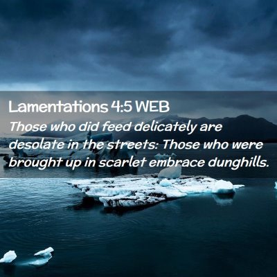 Picture 02 - Lamentations 4:5 WEB - Those who did feed delicately are desolate in the - Bible Verse Picture