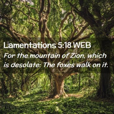 Picture 02 - Lamentations 5:18 WEB - For the mountain of Zion, which is desolate: The - Bible Verse Picture