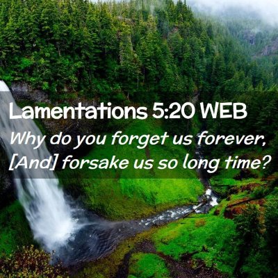 Picture 02 - Lamentations 5:20 WEB - Why do you forget us forever, [And] forsake us so - Bible Verse Picture