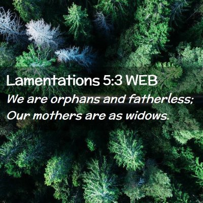 Picture 02 - Lamentations 5:3 WEB - We are orphans and fatherless; Our mothers are as - Bible Verse Picture