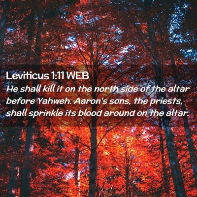 Picture 02 - Leviticus 1:11 WEB - He shall kill it on the north side of the altar - Bible Verse Picture