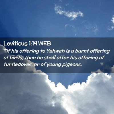 Picture 02 - Leviticus 1:14 WEB - 