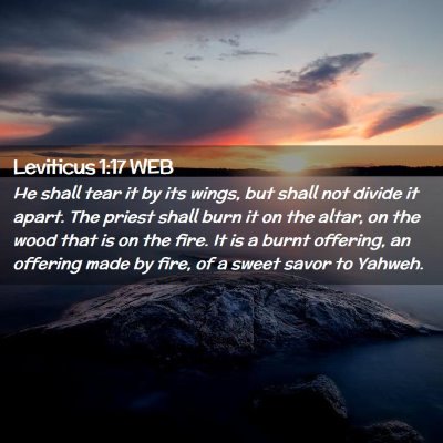 Picture 02 - Leviticus 1:17 WEB - He shall tear it by its wings, but shall not - Bible Verse Picture