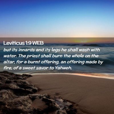 Picture 02 - Leviticus 1:9 WEB - but its innards and its legs he shall wash with - Bible Verse Picture