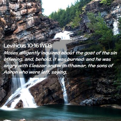 Picture 02 - Leviticus 10:16 WEB - Moses diligently inquired about the goat of the - Bible Verse Picture