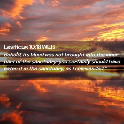 Picture 02 - Leviticus 10:18 WEB - Behold, its blood was not brought into the inner - Bible Verse Picture