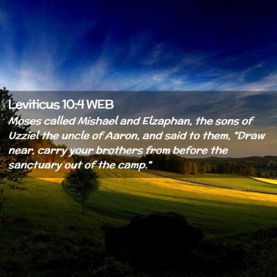 Picture 02 - Leviticus 10:4 WEB - Moses called Mishael and Elzaphan, the sons of - Bible Verse Picture