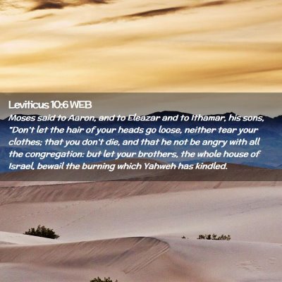Picture 02 - Leviticus 10:6 WEB - Moses said to Aaron, and to Eleazar and to - Bible Verse Picture